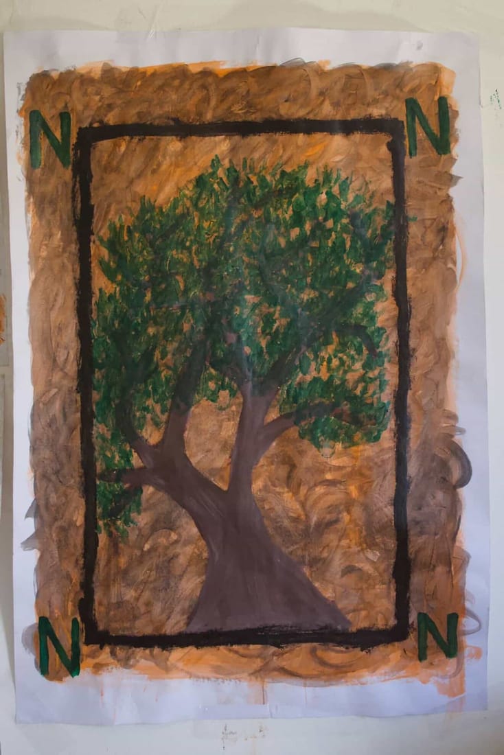 Olive tree, by Hasan.